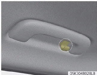 Kia Soul. Clothes hanger