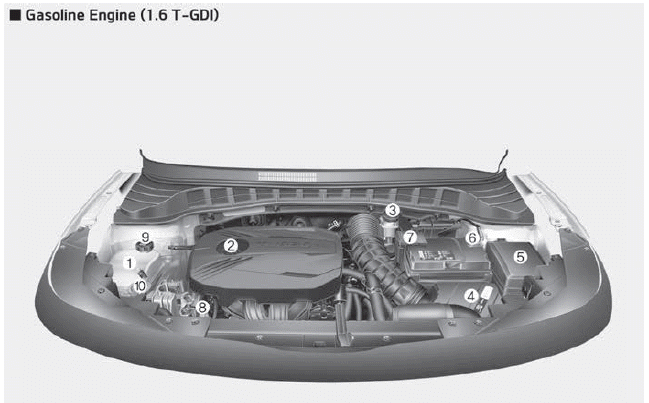 Kia Soul. Engine compartment