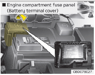 Kia Soul. Fuse/relay panel description