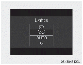 Kia Soul. LCD display messages
