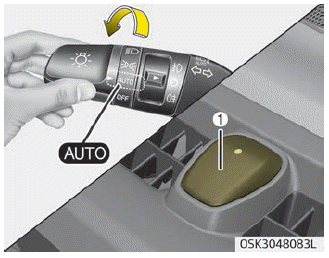 Kia Soul. Lighting control